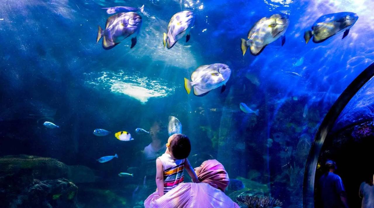 آکواریوم و مرکز علوم دریایی ویرجینیا . Virginia Aquarium