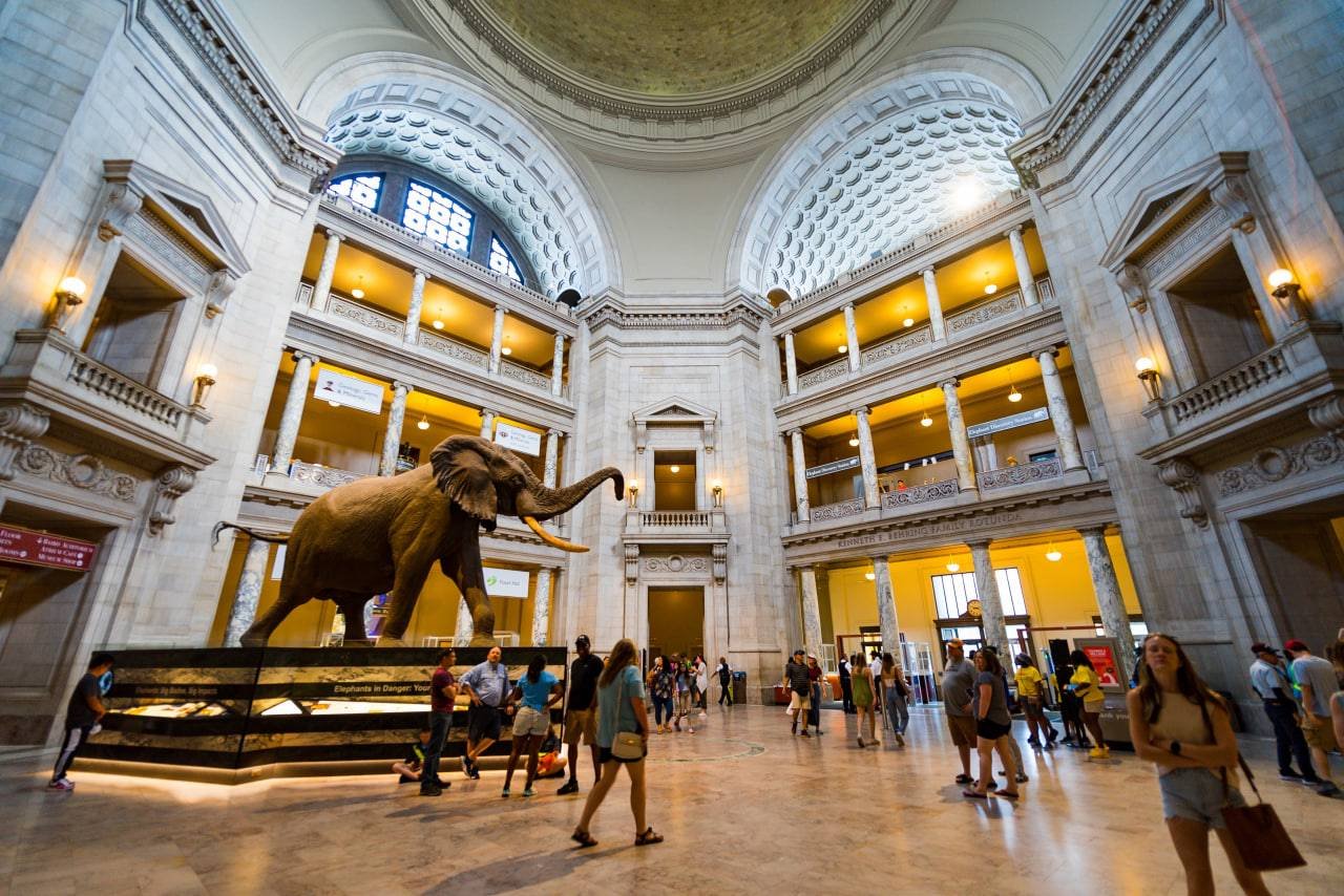 موزه ملی تاریخ طبیعی . National Museum of Natural History