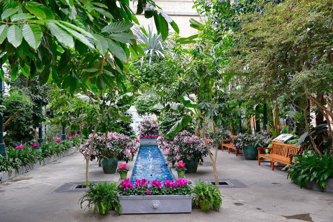 باغ گیاه‌شناسی آمریکا . United States Botanic Garden