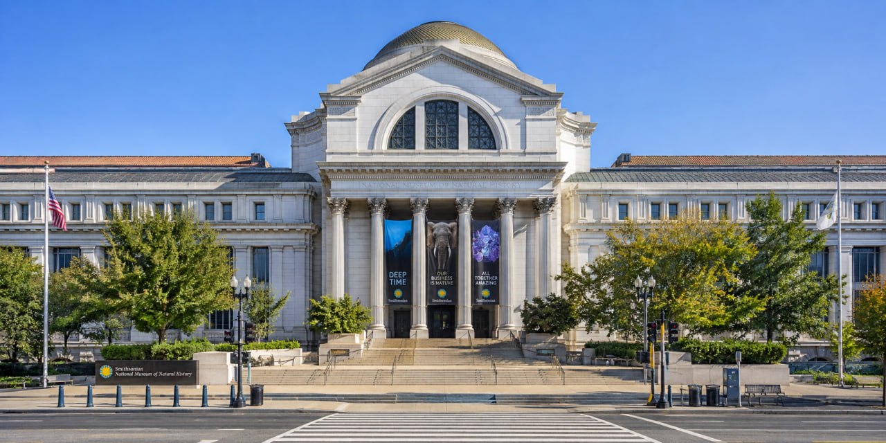 گشت‌وگذار پشت صحنه موزه ملی تاریخ طبیعی | Behind-the-Scenes Tour of the National Museum of Natural History